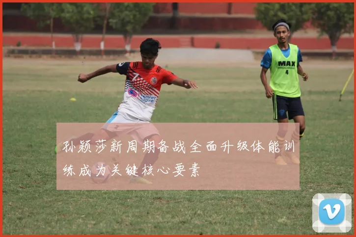 孙颖莎新周期备战全面升级体能训练成为关键核心要素